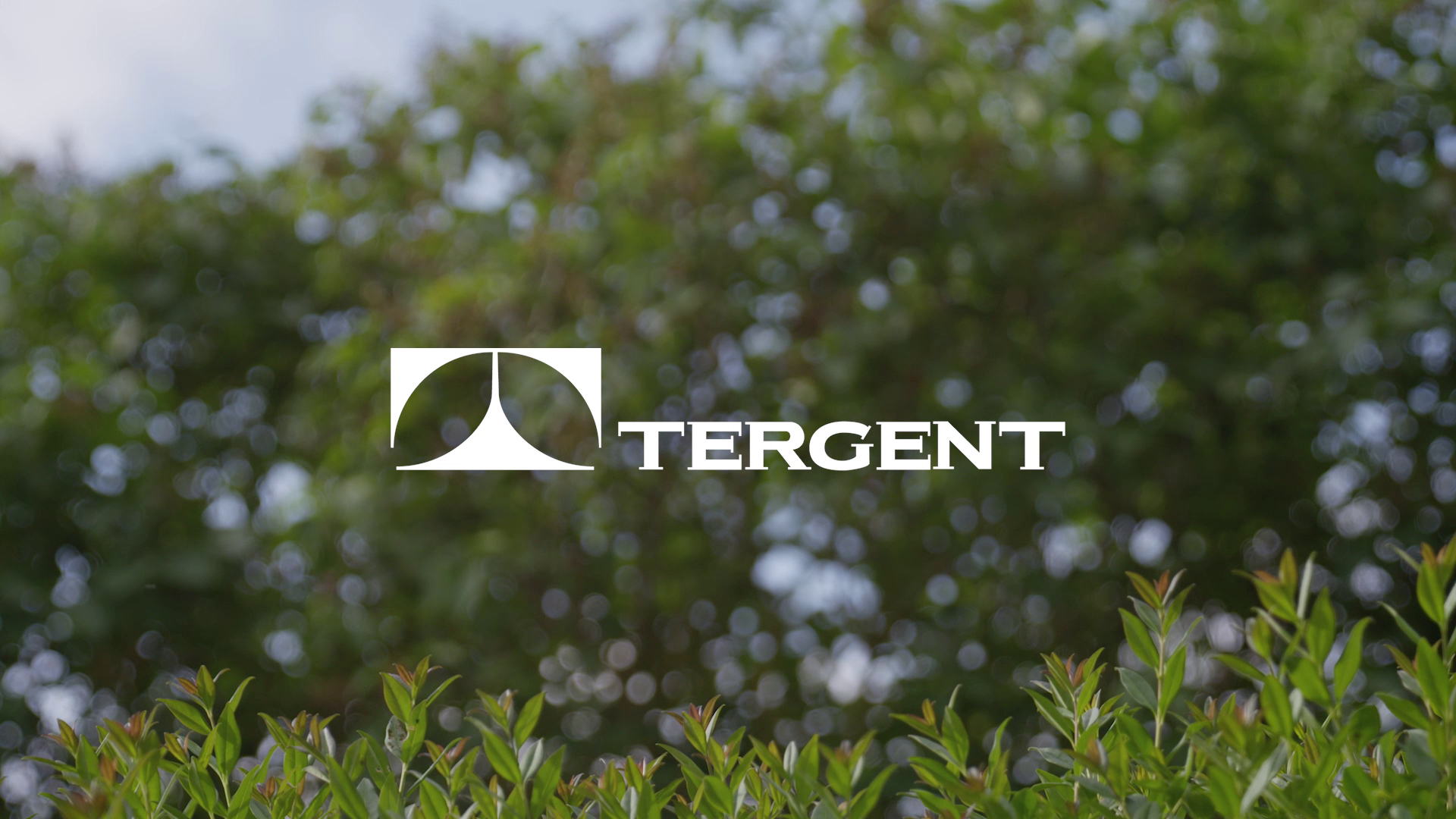 Tergent